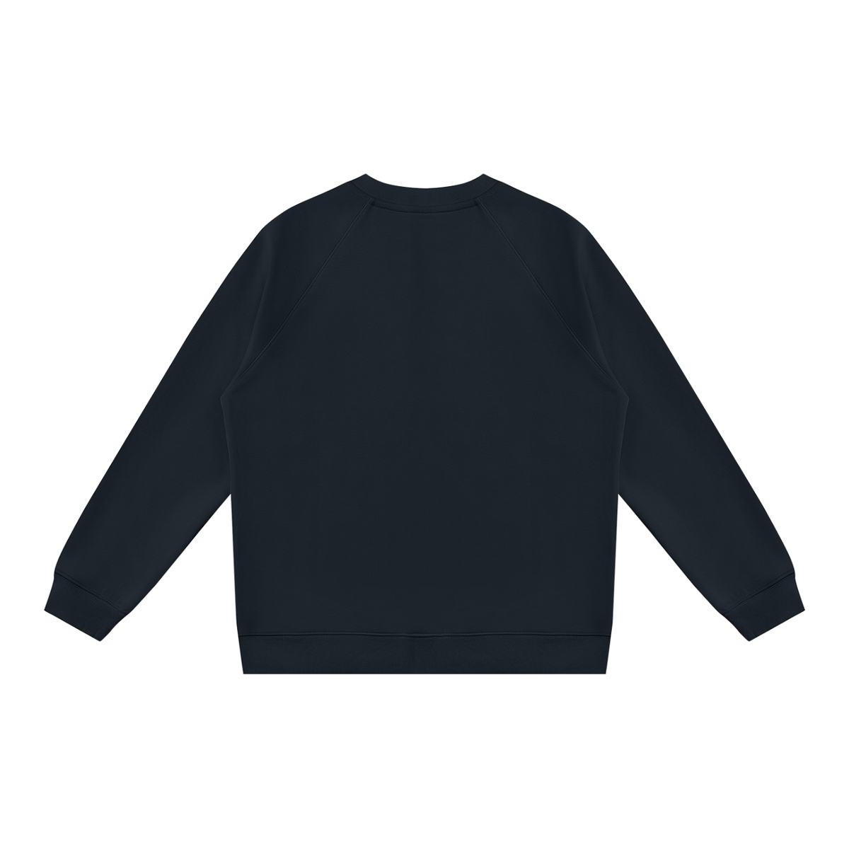 Regular Fit Crew Sweatshirt