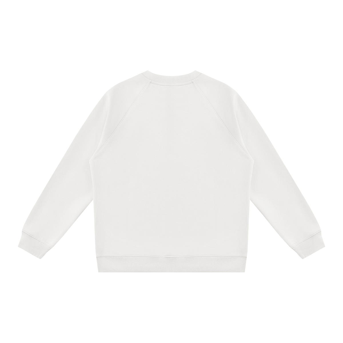 Regular Fit Crew Sweatshirt