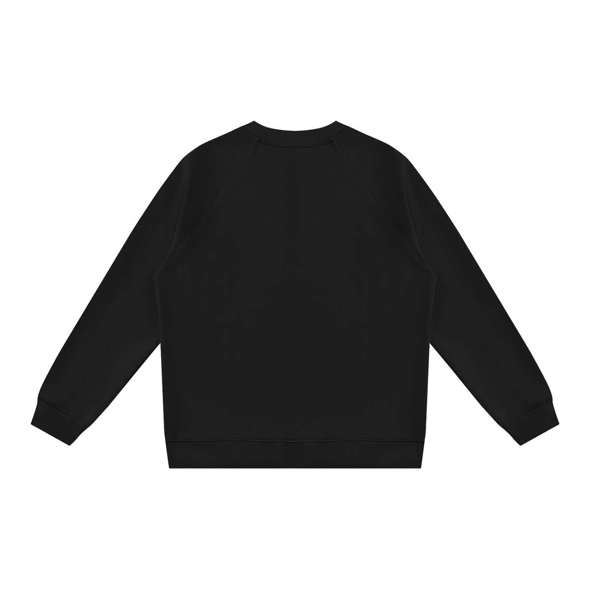 Regular Fit Crew Sweatshirt