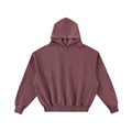 Frayed Enzyme Washed Hoodie